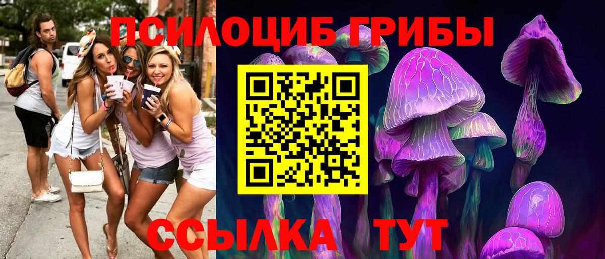 Вятские Поляны  сколько стоит  Вход с VPN  Галлюциногенные грибы Psilocybine cubensis 
