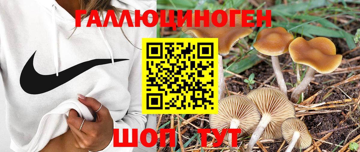 Галлюциногенные грибы MAGIC MUSHROOMS Вятские Поляны